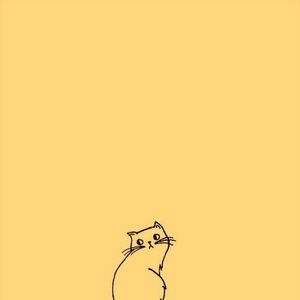 Meet your Posher, Iceshya